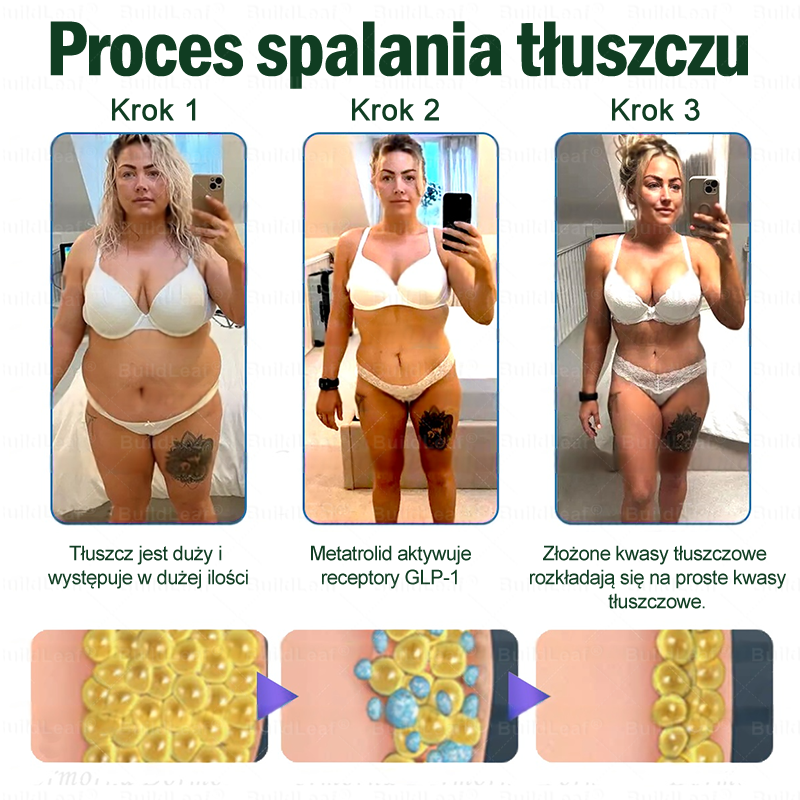 Oficjalny sklep Polska | ☘️BuildLeaf® GLP-1 8-w-1 Fit & Vital Rozwiązanie (Jednorazowe dziennie, widoczne zmiany w ciągu 7 dni) ✅ Otyłość, zdrowie sercowo-naczyniowe, cukrzyca, bezdech senny, zdrowie jelit, problemy ze stawami i inne.